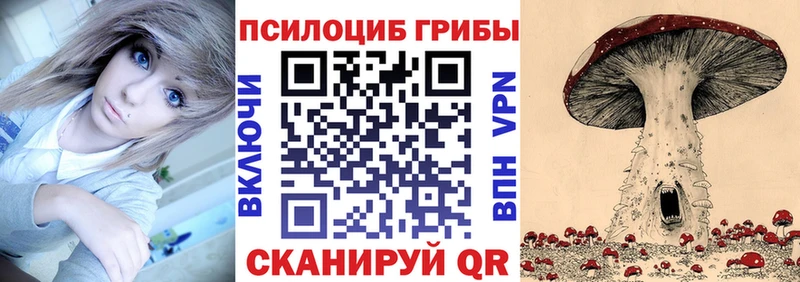 mega рабочий сайт  Кунгур  Псилоцибиновые грибы мухоморы 